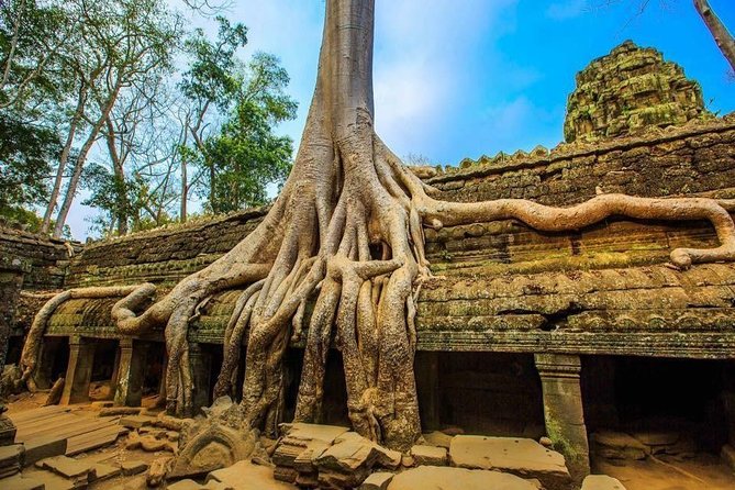 Private Siem Reap 4 Days: Full Exploration of the Angkor Complex - Terrace views and Ta Prohm: where the day turns cinematic