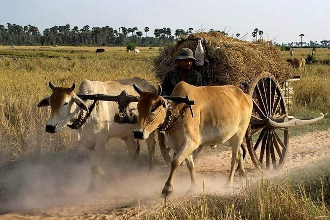 Private Siem Reap Quad Bike Adventure - Key Points Before You Go