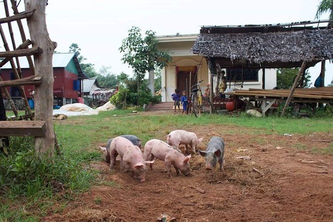 Private Siem Reap Quad Bike Adventure - What You’ll See on Rural Lanes: Villages, Rice Paddies, and Small Details