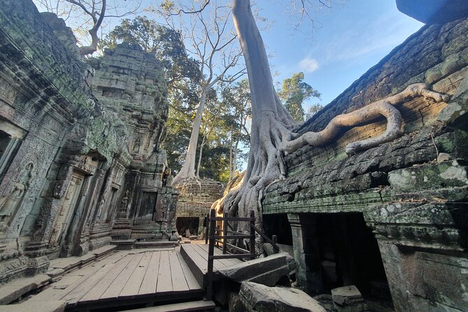 Private Sunrise and Sunset Angkor Park Tour with Rest Mid-Day - Back to the hotel until 3 PM: why this break makes the whole tour work