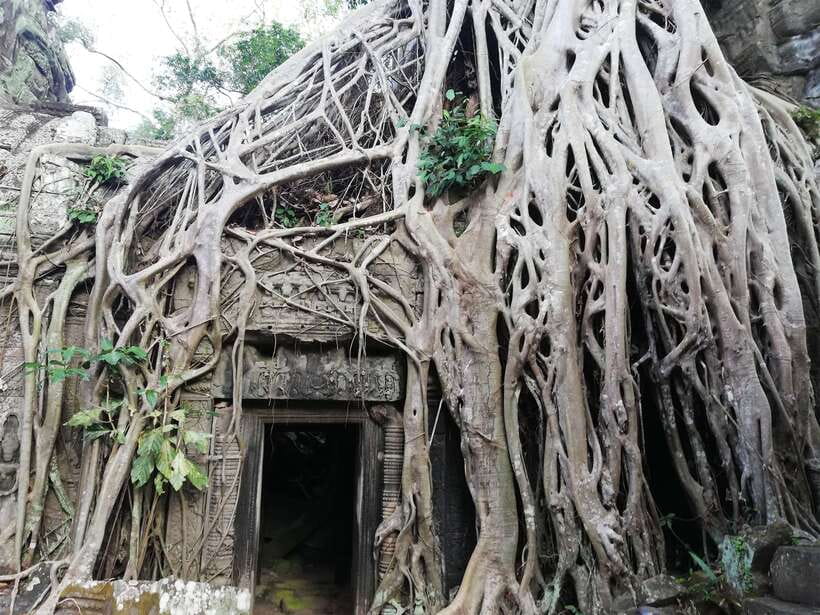 Private Sunrise Angkor Wat Tour - Key points before you go