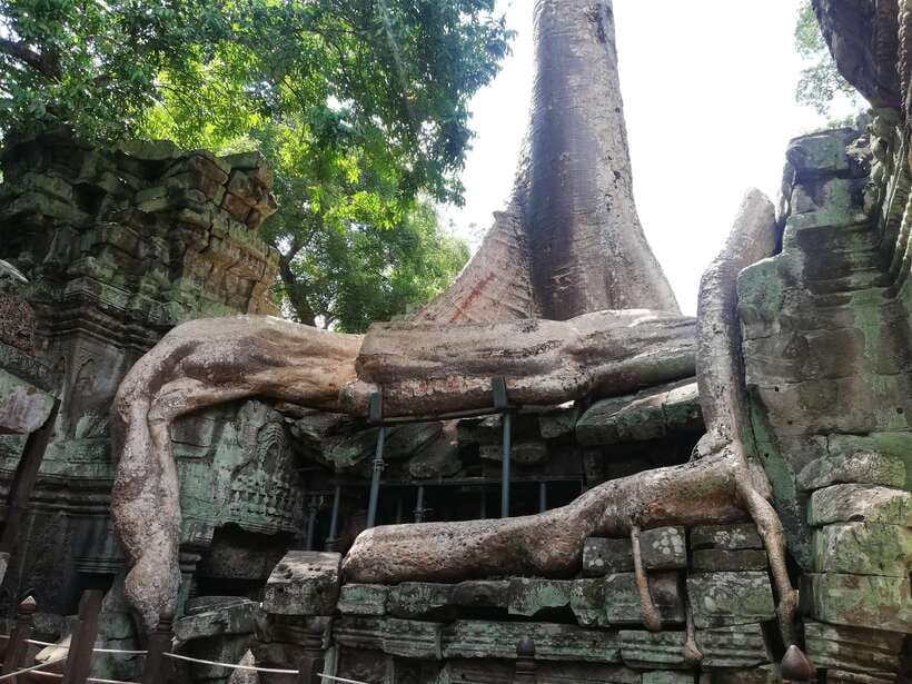 Private Sunrise Angkor Wat Tour - Transportation, comfort, and the small extras that matter