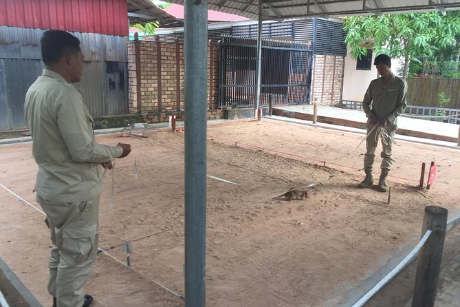 Private Tour: HERO Rats & Angkor National Museum - Angkor National Museum: Khmer artifacts after the hard stuff