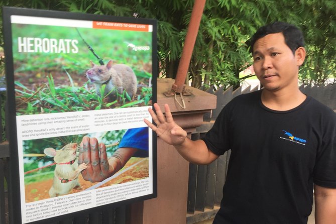 Private Tour: HERO Rats & Angkor National Museum - Price and logistics: what $85 buys you (and what it doesn’t)