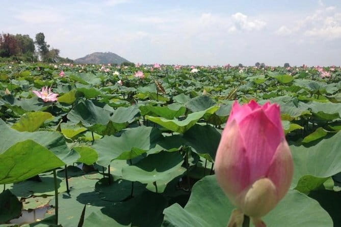 Private Tour Prek Toal Bird Sanctuary Off Beaten Track - Bird sanctuary day trip from Siem Reap: private boats and local life