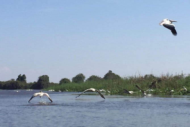 Private Tour Prek Toal Bird Sanctuary Off Beaten Track - Lunch on a floating restaurant and the village loop after birding