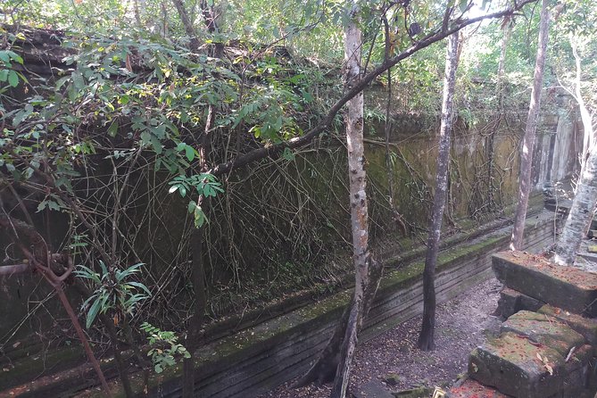 Private Tour to Beng Mealea Jungle Temple and Koh Ker - Rural stops on the way: villages, markets, rice fields, Khmer houses