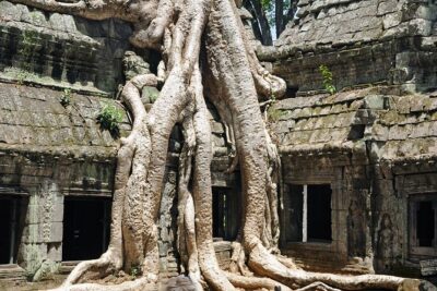 Private Tuk Tuk Tour to Angkor Wat and Small Circle with Two Extras - Prasat Kravan, Bat Chum, and Srah Srang: the quieter carving stops early on