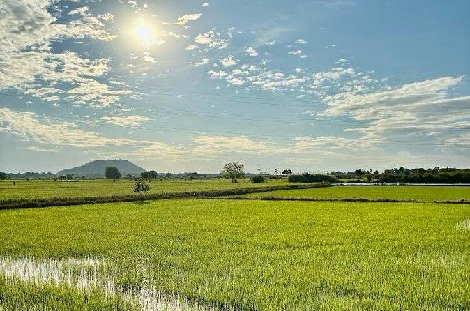 Rural Countryside Experience Tour in Siem Reap - What’s included, what’s not, and how that affects your day