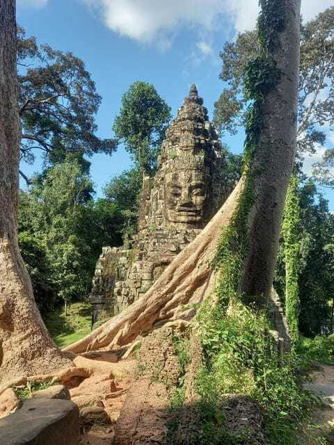 Shared day tour with Spanish-speaking guide at Angkor Temple. - What the $50 price really buys you (and where you should think twice)