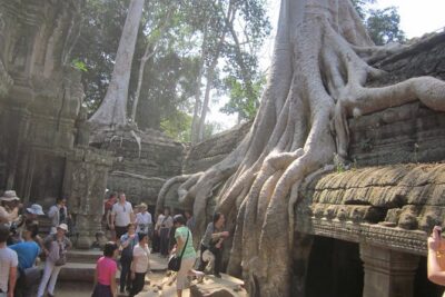 Shared Tour to Angkor Wat, Bayon and Ta Prohm Temples - Angkor Wat (3 hours): inside visits plus the best starting point