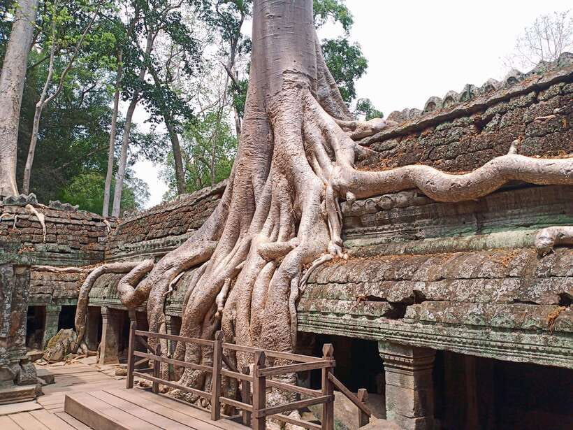 Sharing Trip to Angkor Temple with sunset - Key things that make this tour worth your time