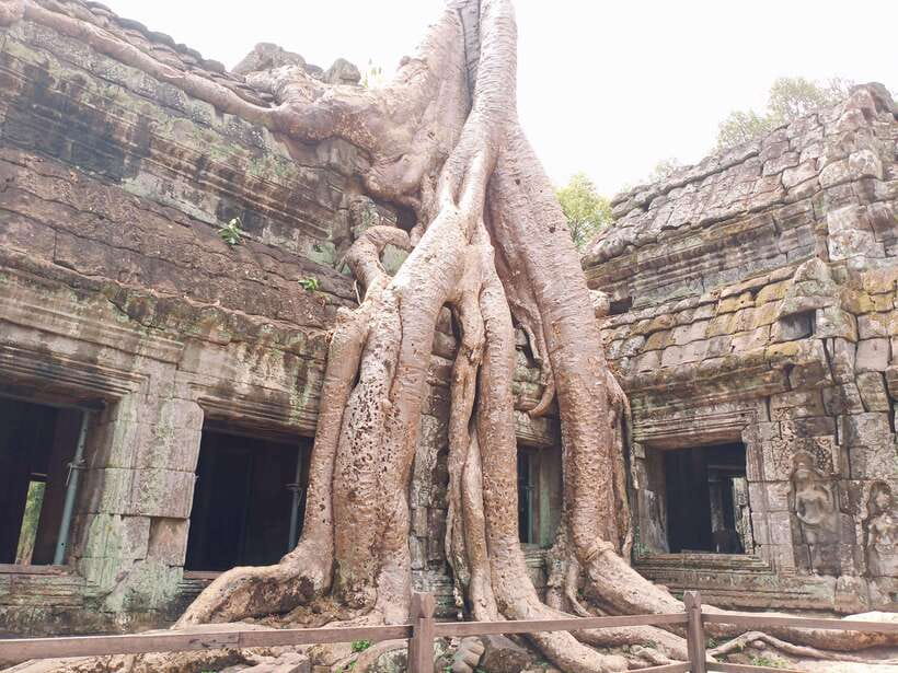 Sharing Trip to Angkor Temple with sunset - Angkor Wat: the symbol, the mix of religions, the photo moments
