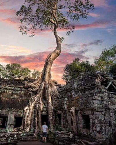 Siem Reap: 2-Day Private Angkor Wat & Angkor Temples Tour - Day 1 Small Circuit Plus Angkor Wat: South Gate to Ta Prohm