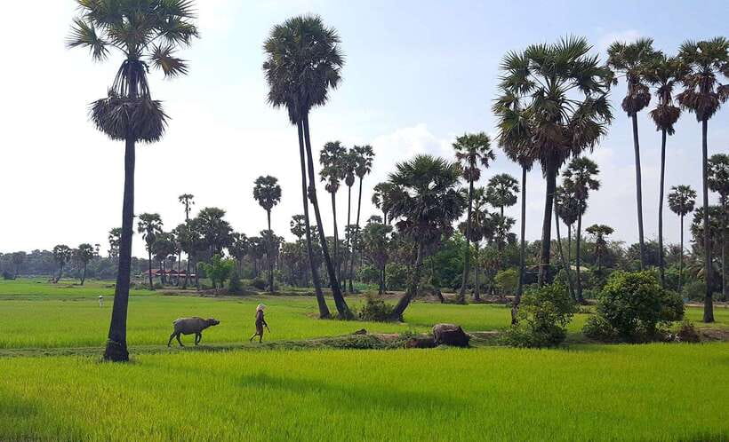 Siem Reap: 6-Hour Easy Rider Motorbike Tour - Chai Village monastery and pagodas: rural faith, daily rhythm, and Phnom Bok views