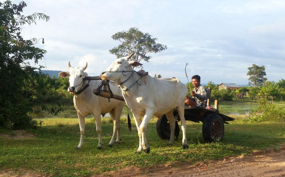 Siem Reap: 6-Hour Easy Rider Motorbike Tour - Who this tour fits best in Siem Reap (and who should think twice)