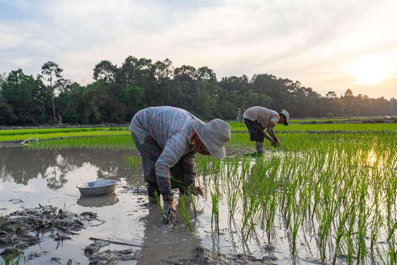 Siem Reap: Afternoon Cooking Class & Village Tour - Price and value: is $35 a smart deal?