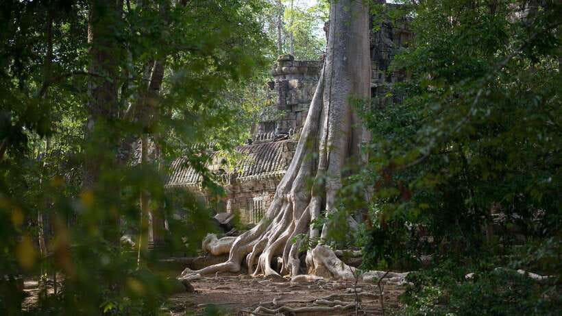 Siem Reap: Angkor Temples Off-Track Bicycle Tour - From Bayon Pastry School to the South Gate of Angkor Thom