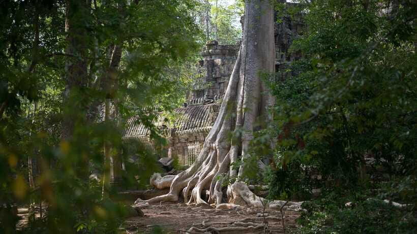 Siem Reap: Angkor Temples Off-Track Bicycle Tour - Price and what you actually get for $65