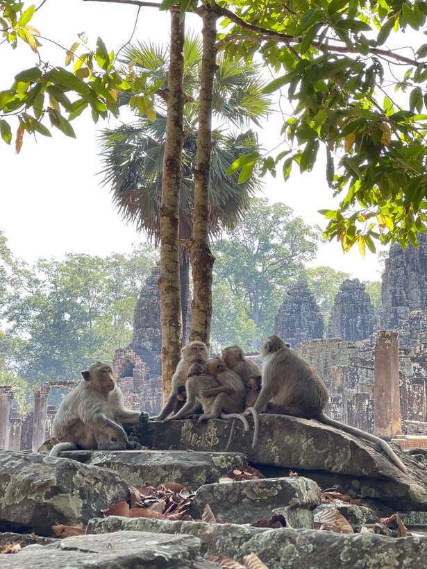 Siem Reap: Angkor Wat Private full Day Tour - Price and what you’re really paying for