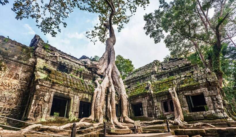 Siem Reap: Angkor Wat Small-group Sunrise or Sunset Tour - Who this tour suits best