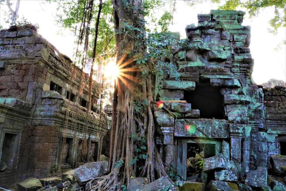 Siem Reap: Angkor Wat Sunrise and Best Temples Tour - Ta Prohm: jungle roots, Tomb Raider vibes, and muddy photo moments