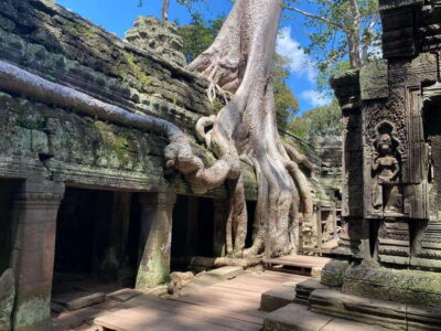 Siem Reap: Angkor Wat Sunrise and Full-Day Sightseeing Tour - Getting to the temples: AC comfort and a “no-stress” driver