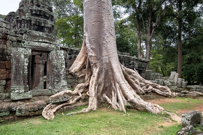 Siem Reap: Angkor Wat Sunrise Bike Tour & Jungle Breakfast - Food, water, and smart pacing during a long temple day