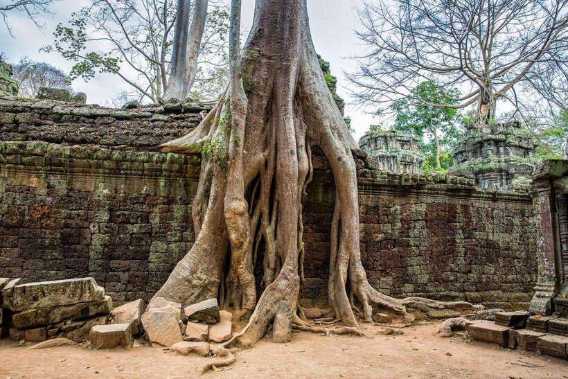 Siem Reap: Angkor Wat Sunrise Tour With Small Group - How the day flows in real life: buses, walking, and drop-offs
