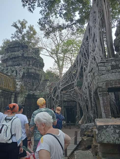 Siem Reap: Angkor Wat Tour with Italian-Speaking Guide - Crowds, timing, and why your guide’s route choices matter