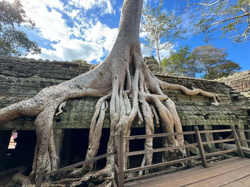Siem Reap: Angkor Wat Tour with Italian-Speaking Guide - What to wear: temple rules you can’t ignore
