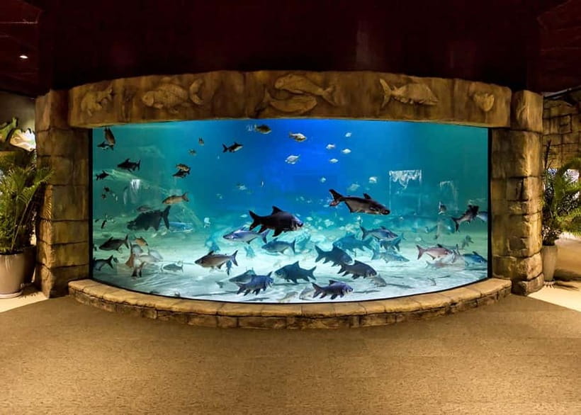 Siem Reap: Angkor Wildlife & Aquarium Entrance Ticket - Your $20 ticket: what you’re actually buying in Siem Reap