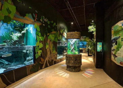 Siem Reap: Angkor Wildlife & Aquarium Entrance Ticket - Getting there without wasting your morning