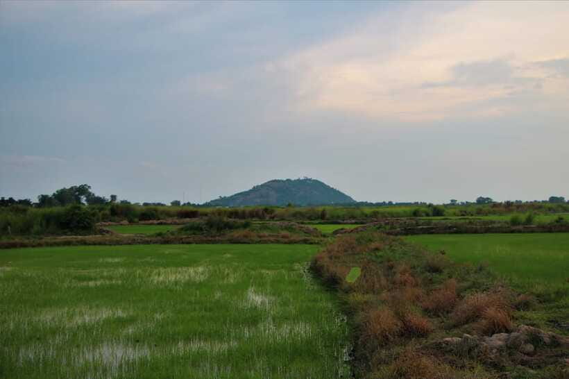 Siem Reap: Countryside Cycle and Local Village Life Tour - Palm Wine With a Local Family: Taste the Real Product