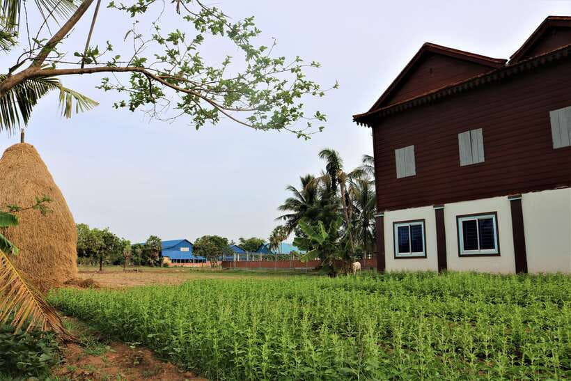 Siem Reap: Countryside Quad Bike Sunset Adventure - Price and value: why $36 feels fair here