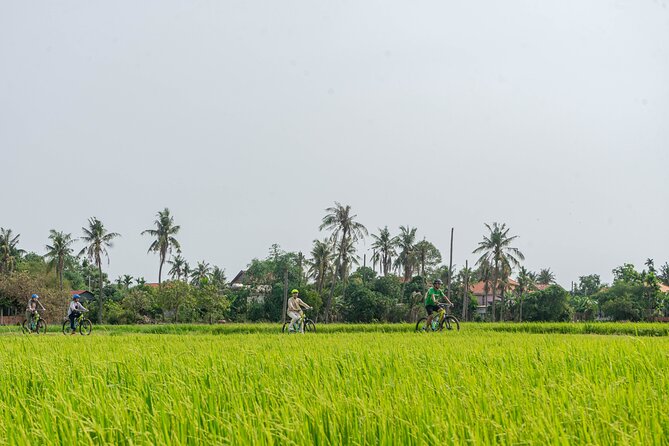 Siem Reap: Countryside Sunset Bike Tour / E-Bike or Tuk Tuk - Key takeaways before you pedal