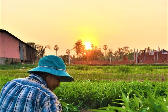Siem Reap Countryside Sunset Jeep Tour - Half-day - Stop at sunset: the rice-field view you came for