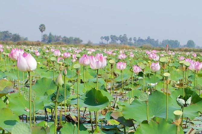 Siem Reap Countryside Sunset Jeep Tour - Half-day - Price and value: is $50 a fair deal?