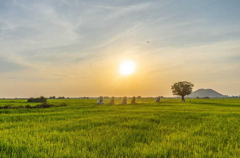 Siem Reap Countryside Sunset Vespa Tour or Tuk Tuk - The winery and Sra Sor: where the taste comes with context
