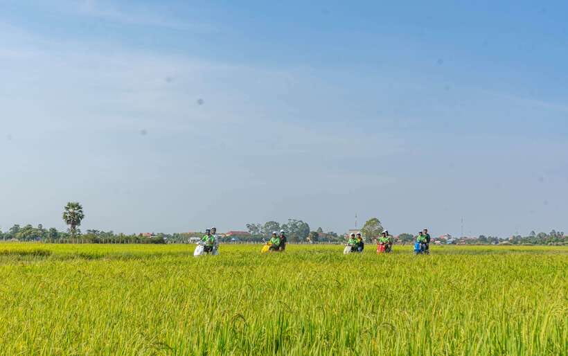 Siem Reap Countryside Sunset Vespa Tour or Tuk Tuk - Small group energy, English guidance, and the rain-or-shine schedule