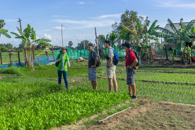 Siem Reap Countryside Sunset Vespa Tour / Tuk Tuk Available - Phnom Krom for Sunset: Rice-Field Photos and Cold Drinks