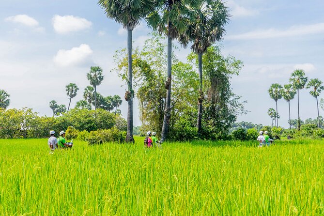 Siem Reap: Countryside Vespa Tour / Tuk Tuk Available - Siem Reap on a Vespa: the value of getting out of town