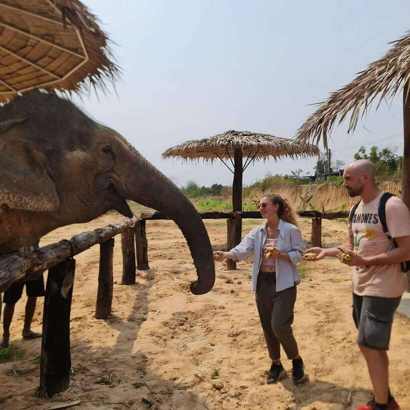 Siem Reap: Elephant Sanctuary Included Hotel Pickup Drop-off - Key moments worth planning for