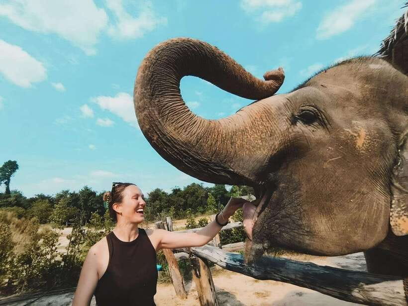 Siem Reap: Elephant Sanctuary Included Hotel Pickup Drop-off - How the 4-hour Siem Reap elephant sanctuary visit fits your day