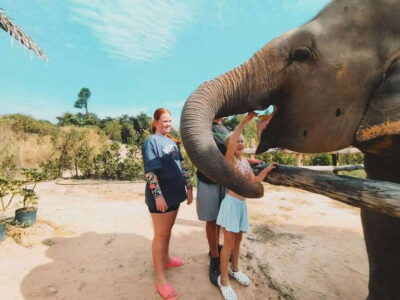 Siem Reap: Elephant Sanctuary Included Hotel Pickup Drop-off - Getting to the sanctuary: shared pickup and that 2-hour round-trip drive