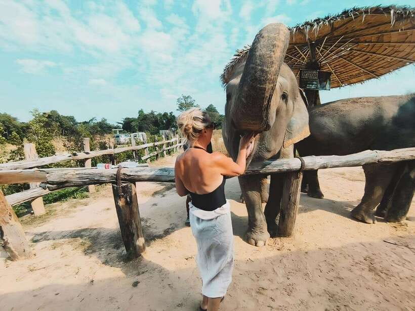 Siem Reap: Elephant Sanctuary Included Hotel Pickup Drop-off - Mud bath time: messy fun with an educational twist