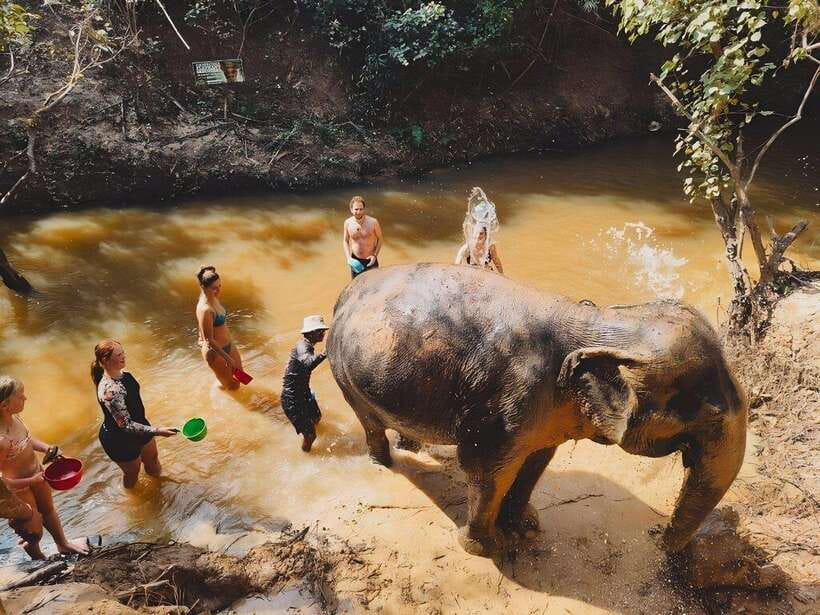 Siem Reap: Elephant Sanctuary Included Hotel Pickup Drop-off - The bathing session: cooling off after the mud
