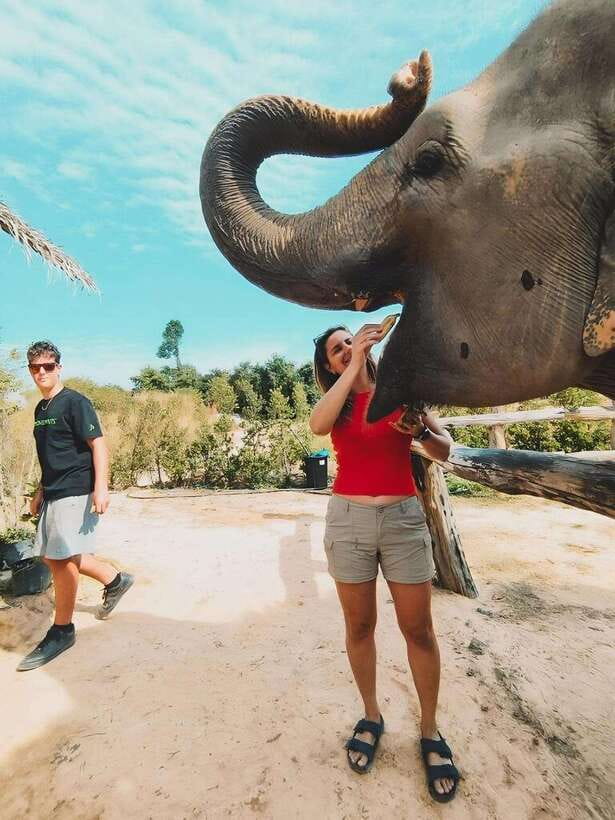 Siem Reap: Elephant Sanctuary Included Hotel Pickup Drop-off - Price and value: what $128 includes (and what you pay extra for)