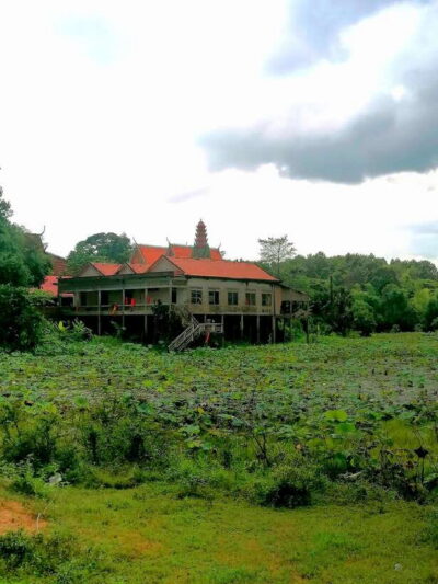 Siem Reap: Fishing in the rice fields, in the villages of Siem Reap - Village Markets First: Seeing Khmer Life Before You Cast a Rod