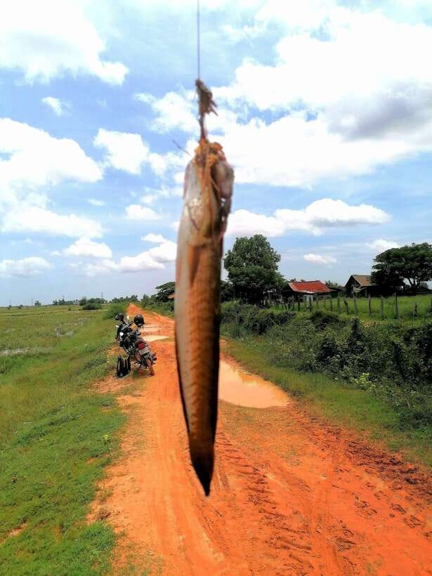 Siem Reap: Fishing in the rice fields, in the villages of Siem Reap - Lunch in a Village: Real Recharge Before Afternoon Casting